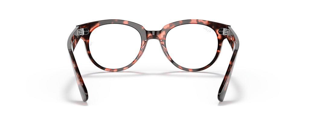 Ray-Ban RB2199V Orion Optics Pink Havana Frames