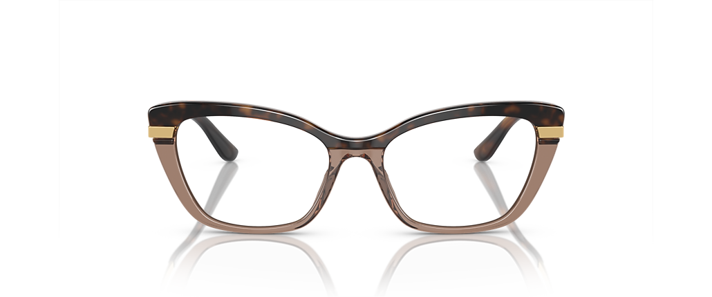 Dolce&Gabbana DG3325 Havana On Transparent Brown Frames Dolce&Gabbana DG3325 Havana On Transparent Brown Frames
