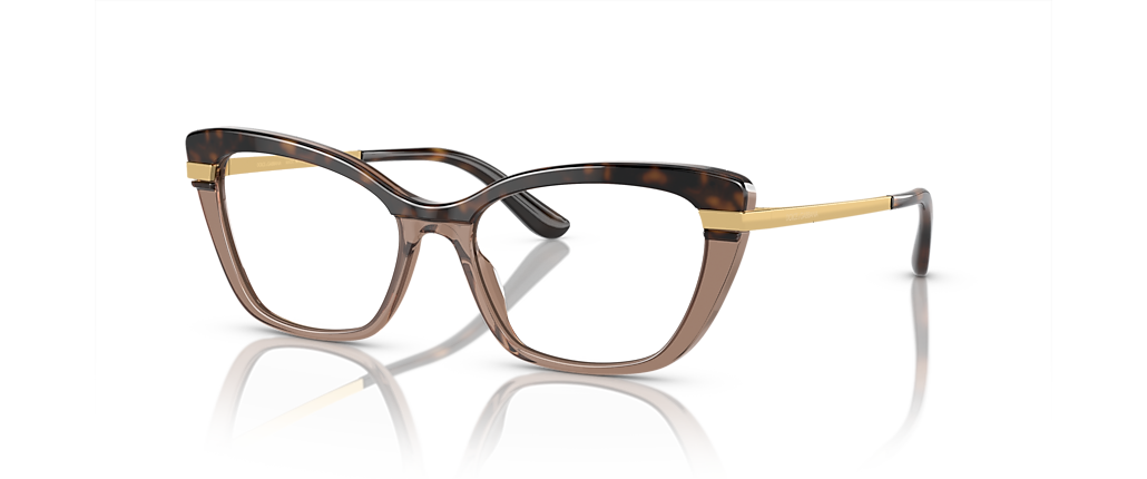 Dolce&Gabbana DG3325 Havana On Transparent Brown Frames Dolce&Gabbana DG3325 Havana On Transparent Brown Frames