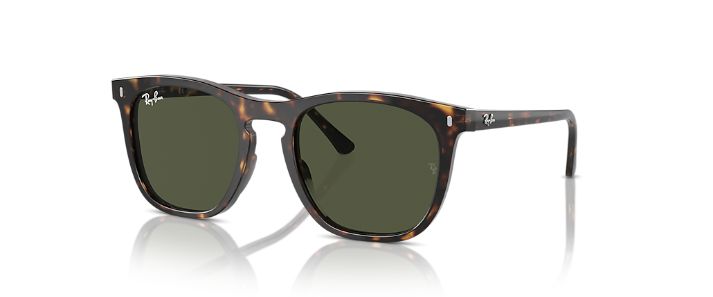 Ray-Ban RB2210F Havana Sunglasses Ray-Ban RB2210F Havana Sunglasses