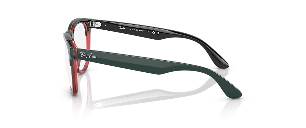 Ray-Ban RB4471V Iris Optics Dark Green On Transparent Light Red Frames