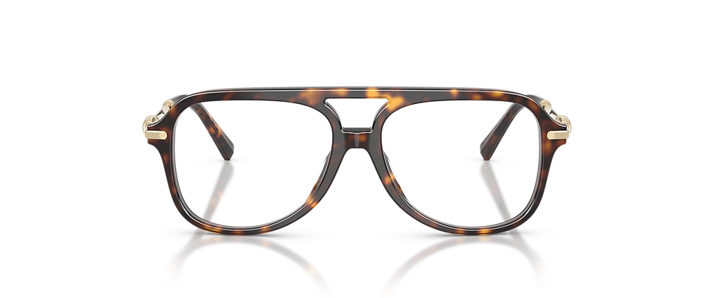 Tiffany & Co. TF2283 Havana Frames