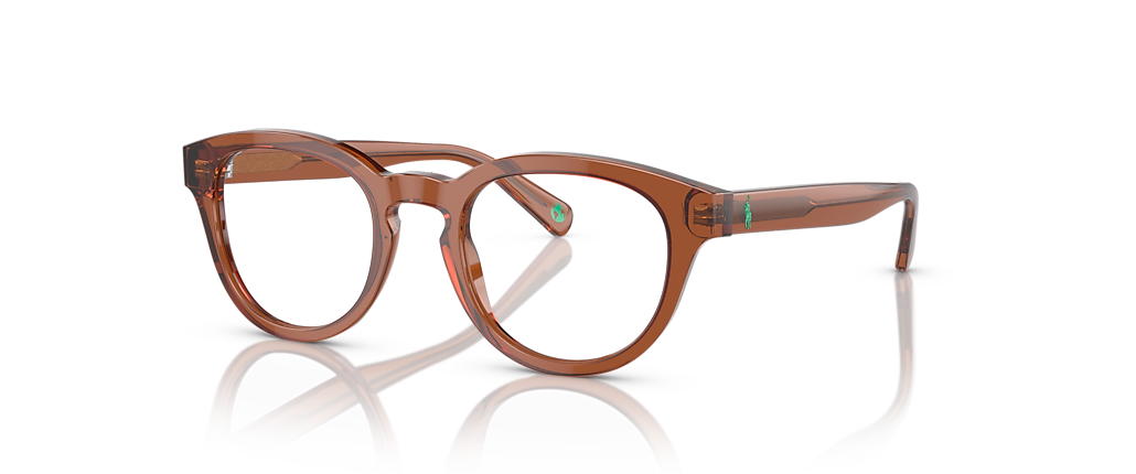 Polo Ralph Lauren PH2262 Shiny Transparent Brown Frames Polo Ralph Lauren PH2262 Shiny Transparent Brown Frames