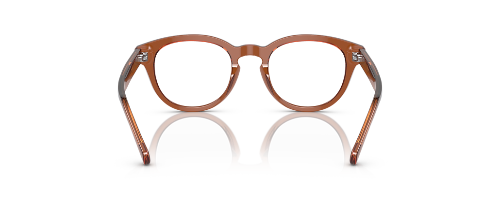 Polo Ralph Lauren PH2262 Shiny Transparent Brown Frames Polo Ralph Lauren PH2262 Shiny Transparent Brown Frames