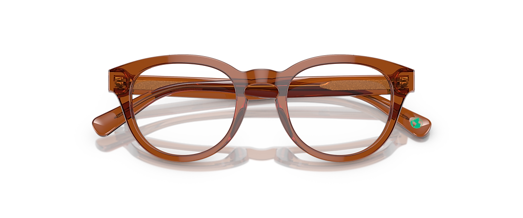Polo Ralph Lauren PH2262 Shiny Transparent Brown Frames Polo Ralph Lauren PH2262 Shiny Transparent Brown Frames