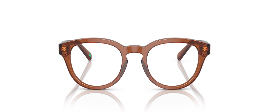 Polo Ralph Lauren PH2262 Shiny Transparent Brown Frames Polo Ralph Lauren PH2262 Shiny Transparent Brown Frames