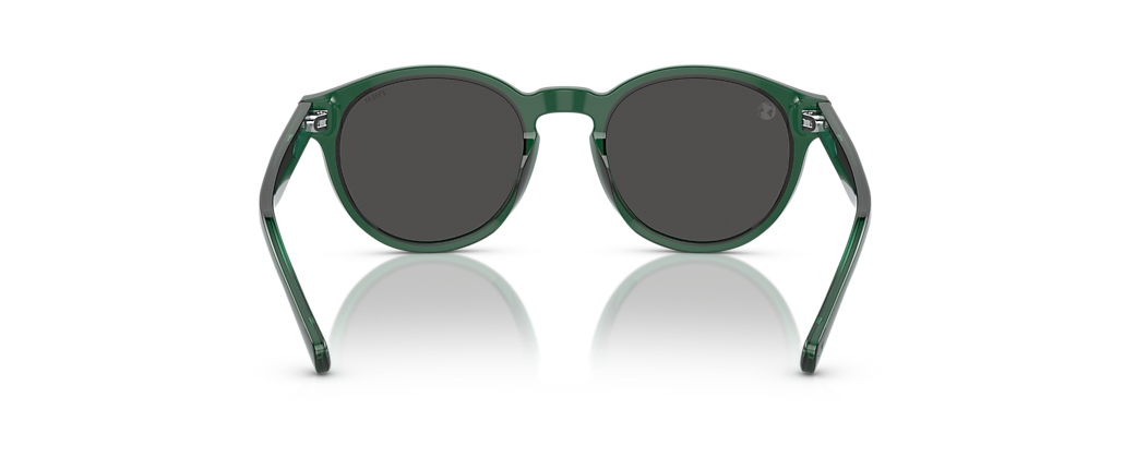 Polo Ralph Lauren PH4192 Shiny Transparent Green Sunglasses