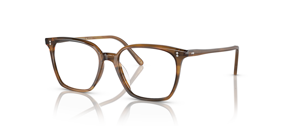 Oliver Peoples OV5488U Rasey Raintree Frames