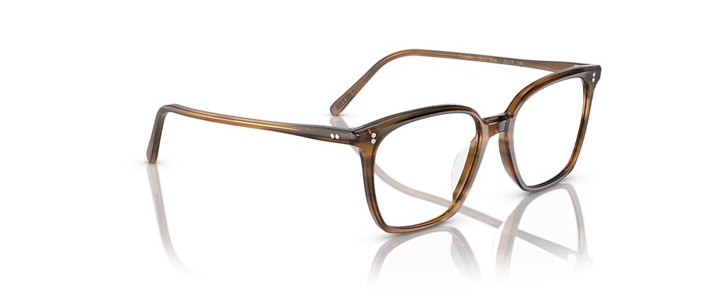 Oliver Peoples OV5488U Rasey Raintree Frames