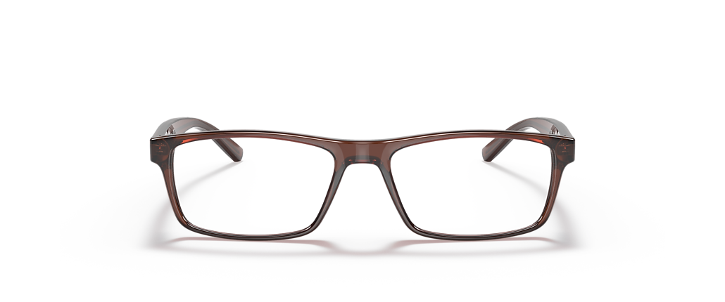 Sferoflex SF1149 Brown Frames Sferoflex SF1149 Brown Frames