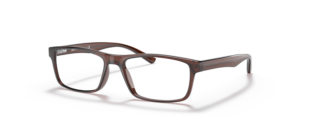 Sferoflex SF1149 Brown Frames Sferoflex SF1149 Brown Frames