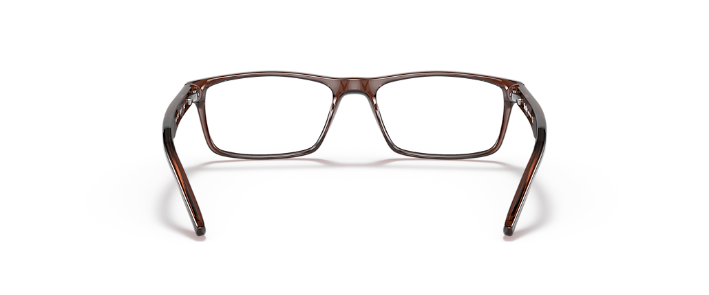 Sferoflex SF1149 Brown Frames Sferoflex SF1149 Brown Frames