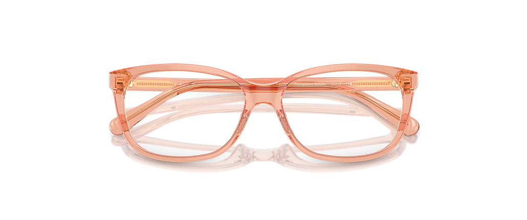 Coach HC6139U Transparent Saddle Frames Coach HC6139U Transparent Saddle Frames