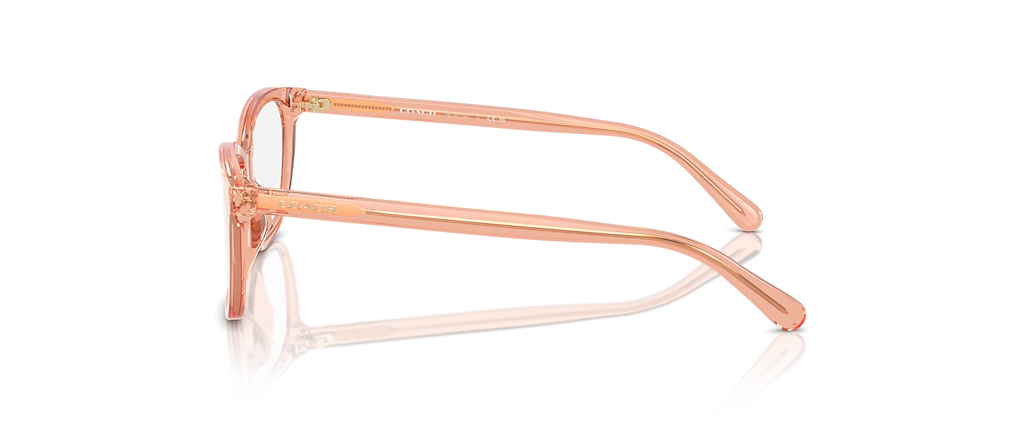 Coach HC6139U Transparent Saddle Frames Coach HC6139U Transparent Saddle Frames