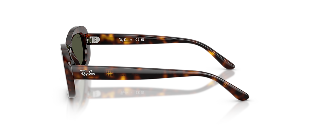 Ray-Ban RB2221F Havana Sunglasses