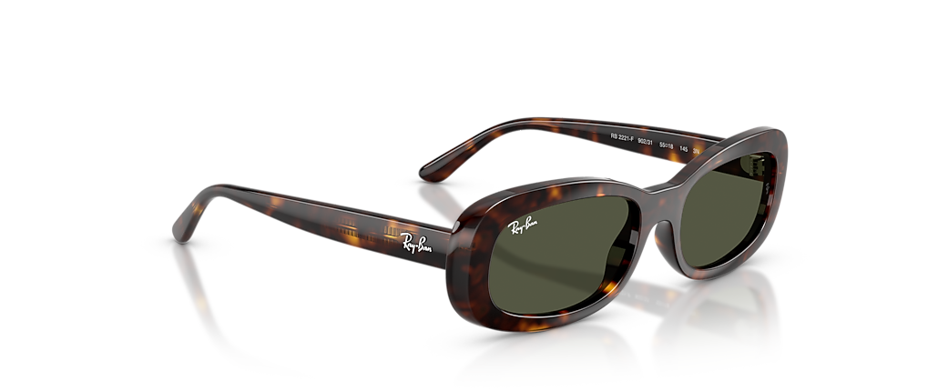 Ray-Ban RB2221F Havana Sunglasses