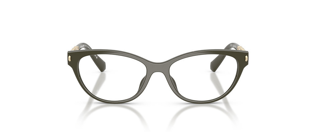 Michael Kors MK4171U Douro Valley Olive Frames