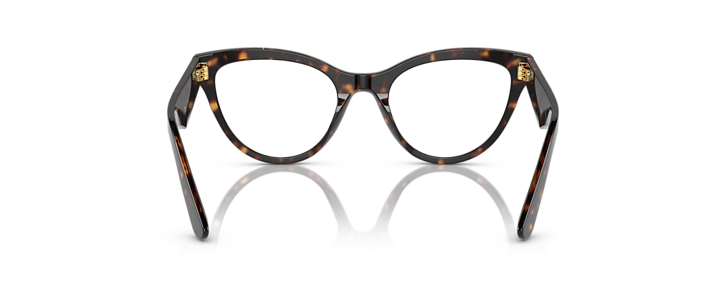 Dolce&Gabbana DG3372 Havana Frames Dolce&Gabbana DG3372 Havana Frames