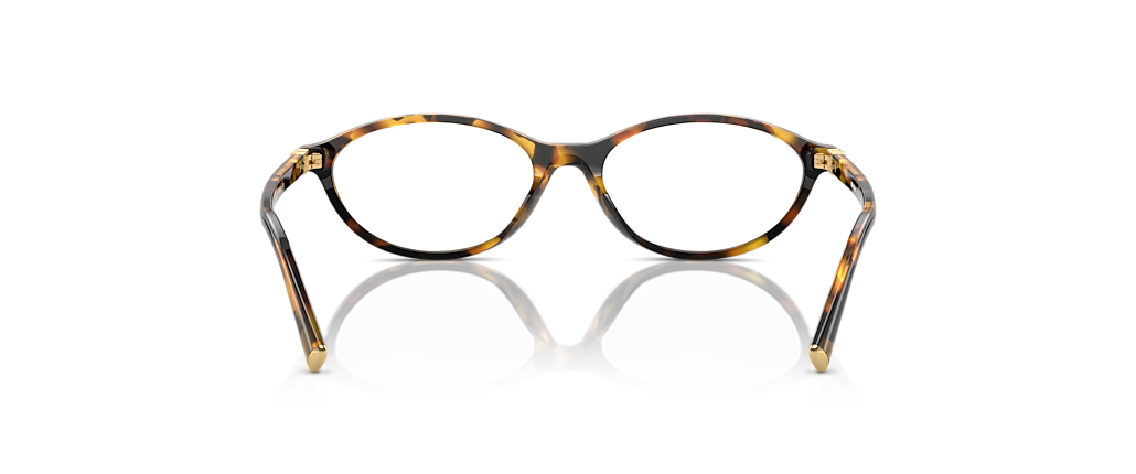 Miu Miu MU 09XVF Honey Havana Frames