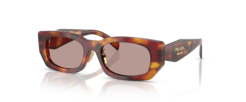 Prada PR B05SF Poppy Tortoise Sunglasses