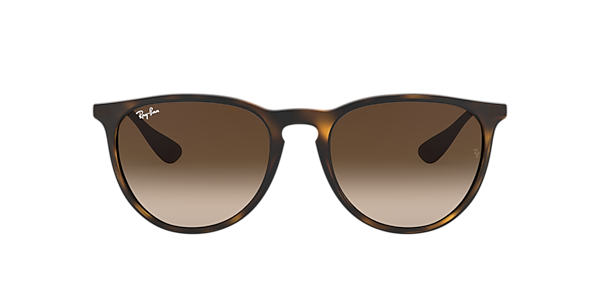 Ray-Ban RB4171 Erika Classic