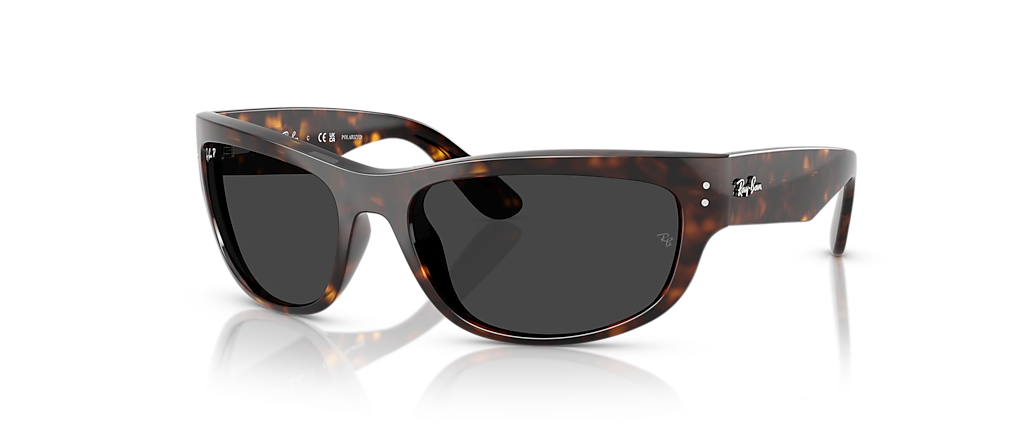 Ray-Ban RB2289 Mega Balorama Havana Sunglasses