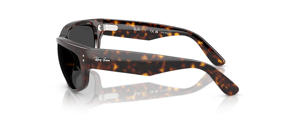 Ray-Ban RB2289 Mega Balorama Havana Sunglasses