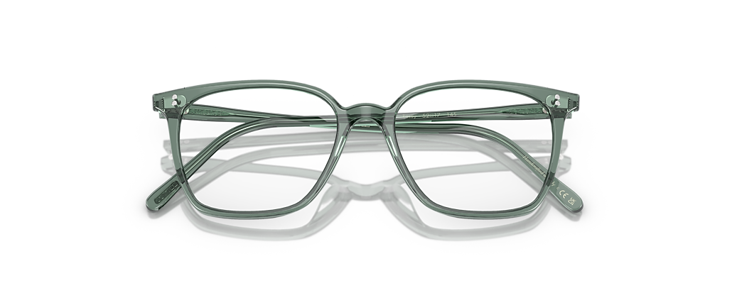 Oliver Peoples OV5488U Rasey Ivy Frames