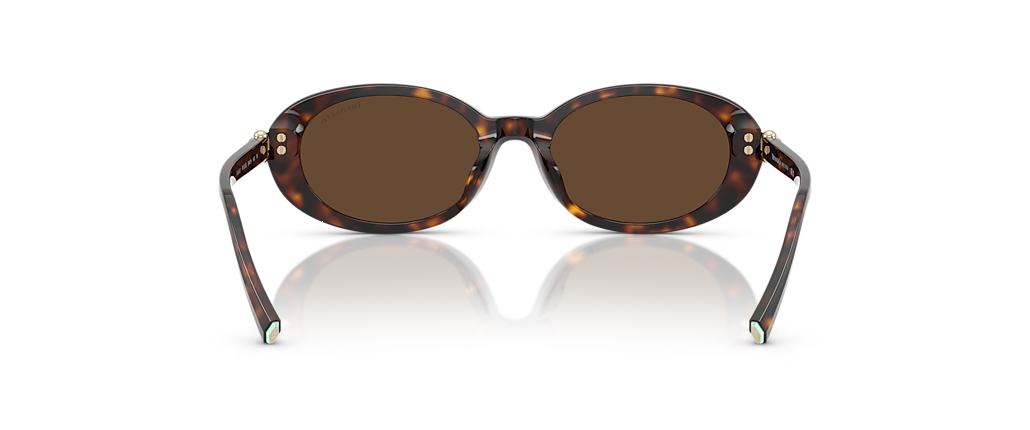 Tiffany & Co. TF4242D Havana Sunglasses Tiffany & Co. TF4242D Havana Sunglasses