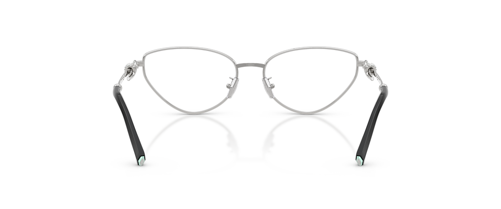 Tiffany & Co. TF1172B Silver Frames