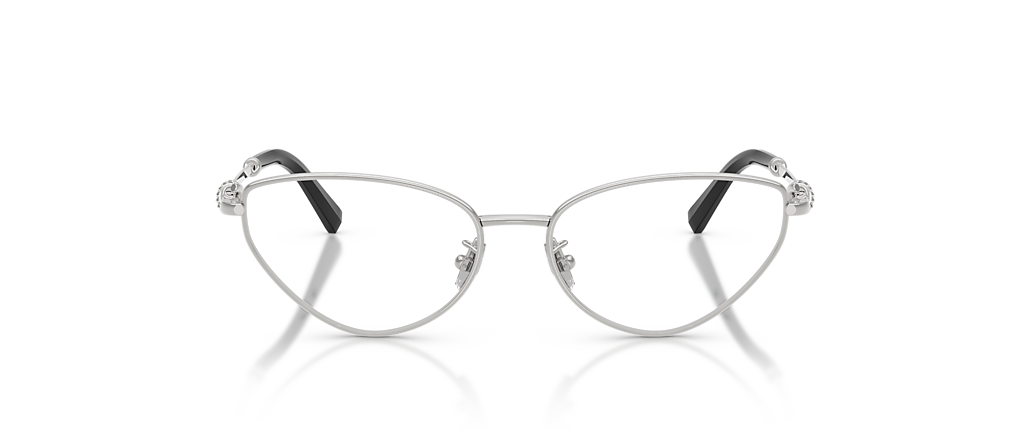 Tiffany & Co. TF1172B Silver Frames