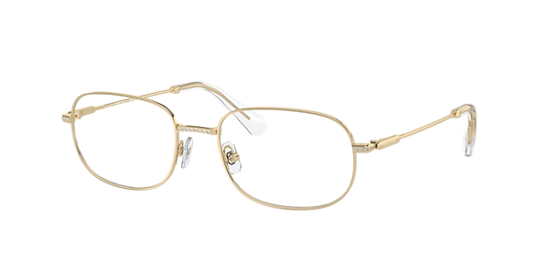 Swarovski SK1005