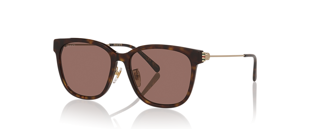 Gucci GG1884SK Tortoise Sunglasses