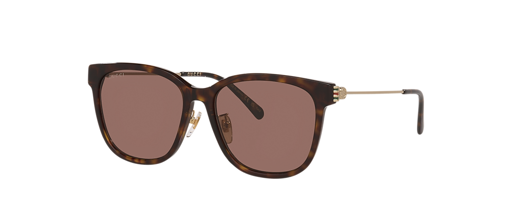 Gucci GG1884SK Tortoise Sunglasses