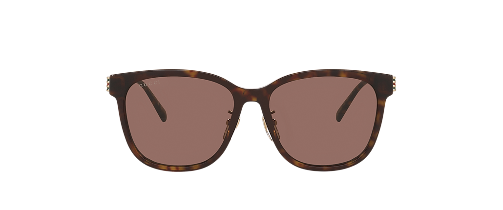 Gucci GG1884SK Tortoise Sunglasses