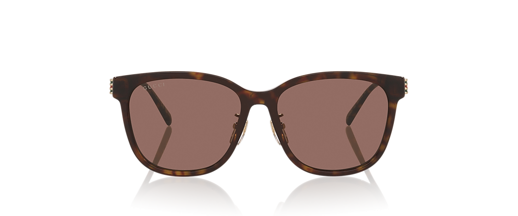Gucci GG1884SK Tortoise Sunglasses