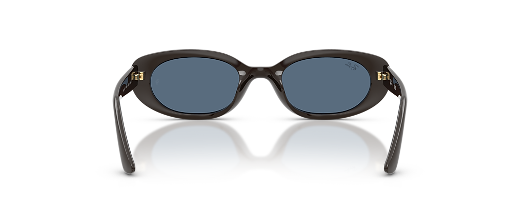 Ray-Ban RB4441D Year Of The Horse Edition Full Dark Brown Sunglasses