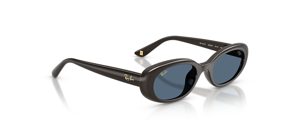 Ray-Ban RB4441D Year Of The Horse Edition Full Dark Brown Sunglasses