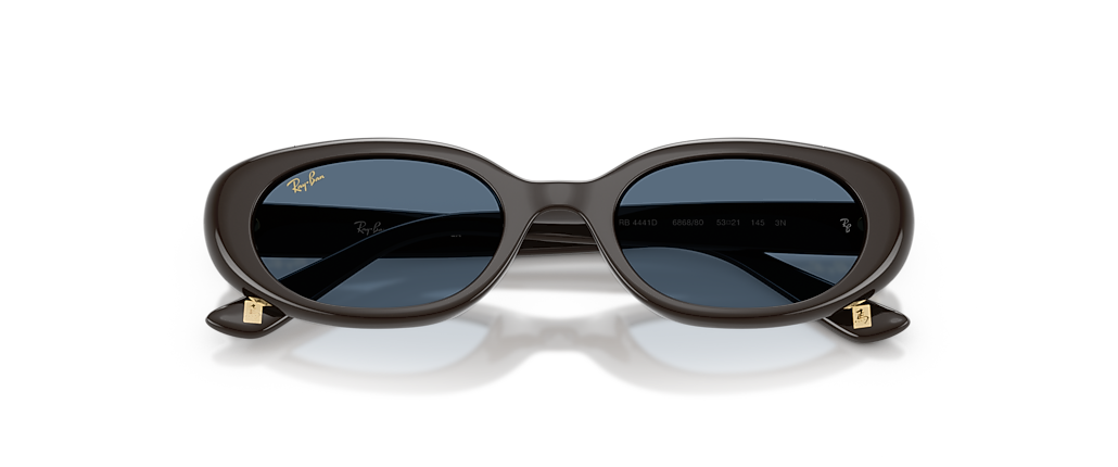 Ray-Ban RB4441D Year Of The Horse Edition Full Dark Brown Sunglasses