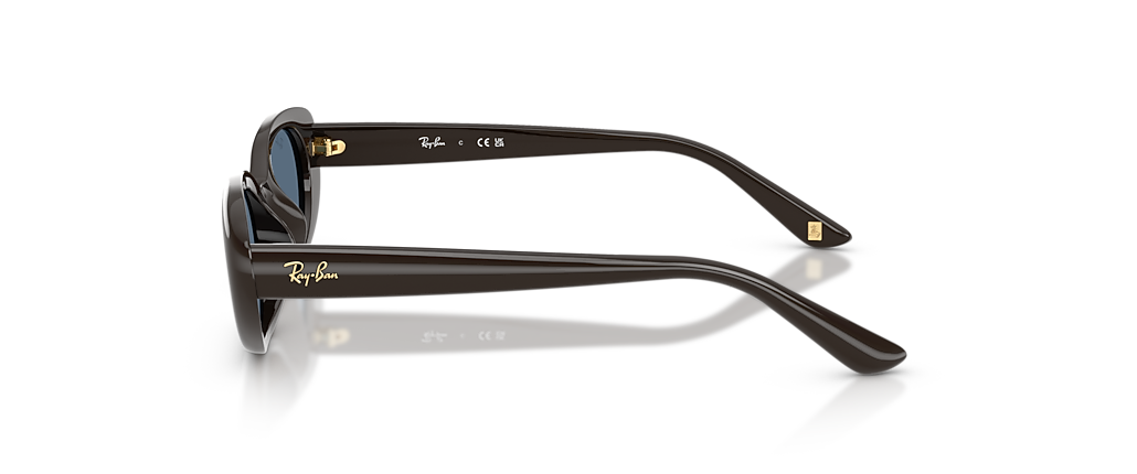 Ray-Ban RB4441D Year Of The Horse Edition Full Dark Brown Sunglasses