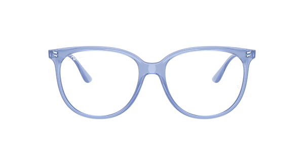 Ray-Ban RB4378V Optics