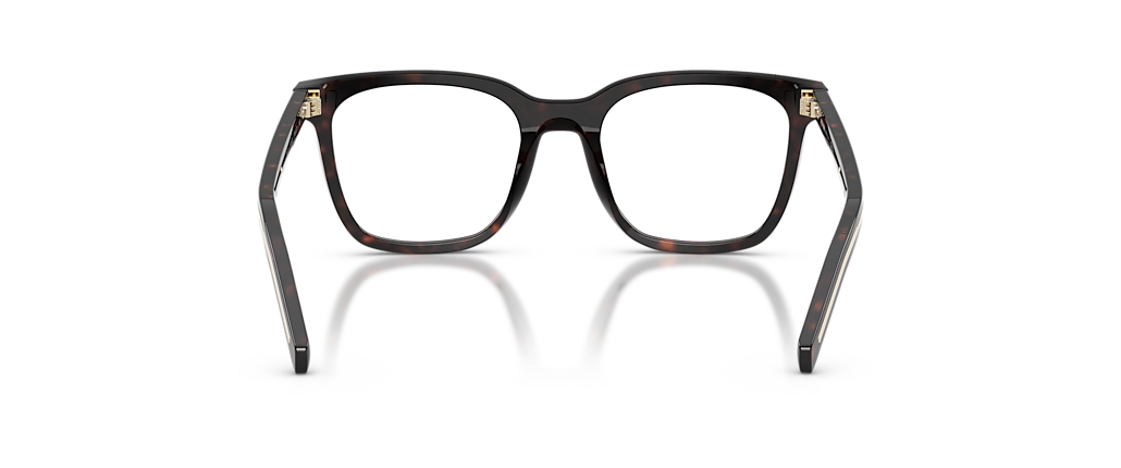 Prada PR B11V Root Tortoise Frames Prada PR B11V Root Tortoise Frames