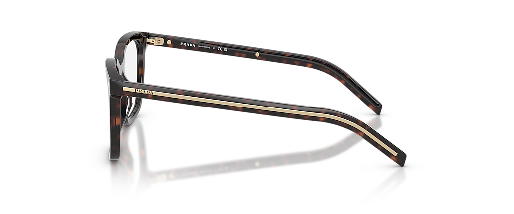 Prada PR B11V Root Tortoise Frames Prada PR B11V Root Tortoise Frames