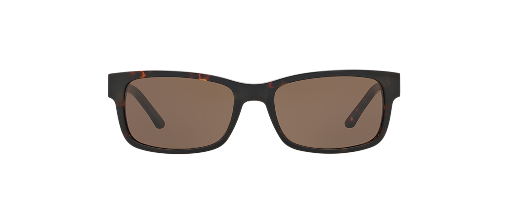 Sferoflex SF5501S Dark Havana Sunglasses