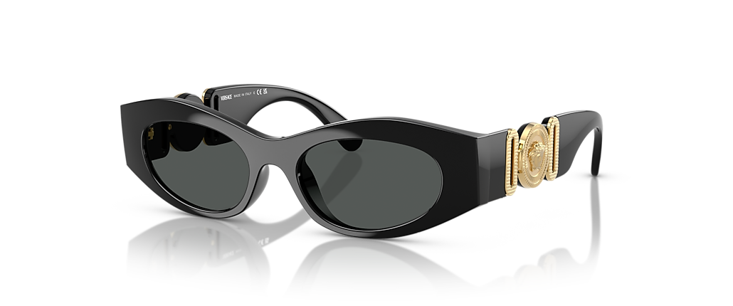 Versace VE4480U Black Sunglasses Versace VE4480U Black Sunglasses