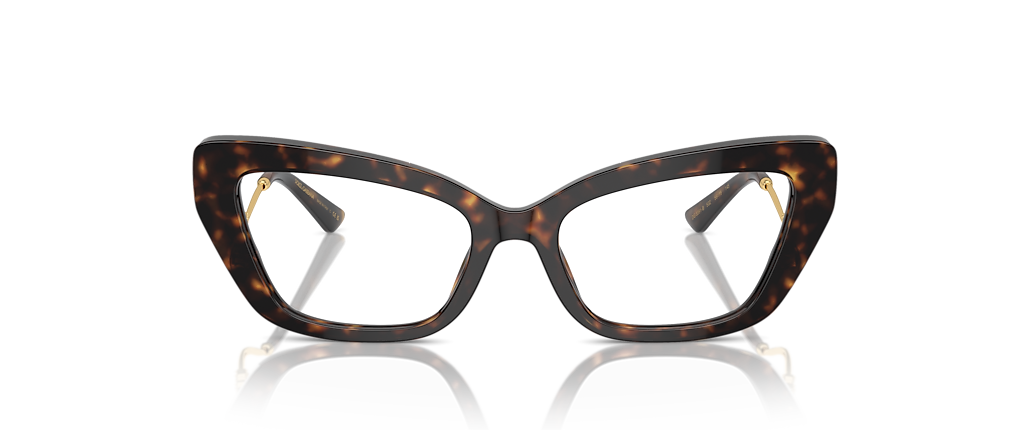 Dolce&Gabbana DG3391B Havana Frames Dolce&Gabbana DG3391B Havana Frames