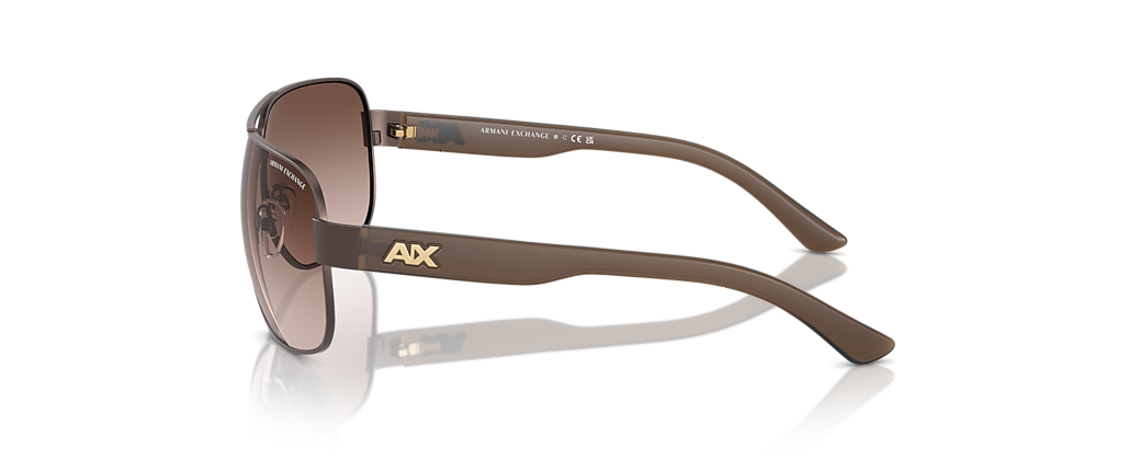 Armani Exchange AX2012S Matte Brown Sunglasses