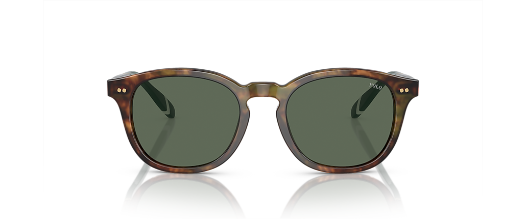 Polo Ralph Lauren PH4206 Shiny Brown Tortoise Sunglasses Polo Ralph Lauren PH4206 Shiny Brown Tortoise Sunglasses