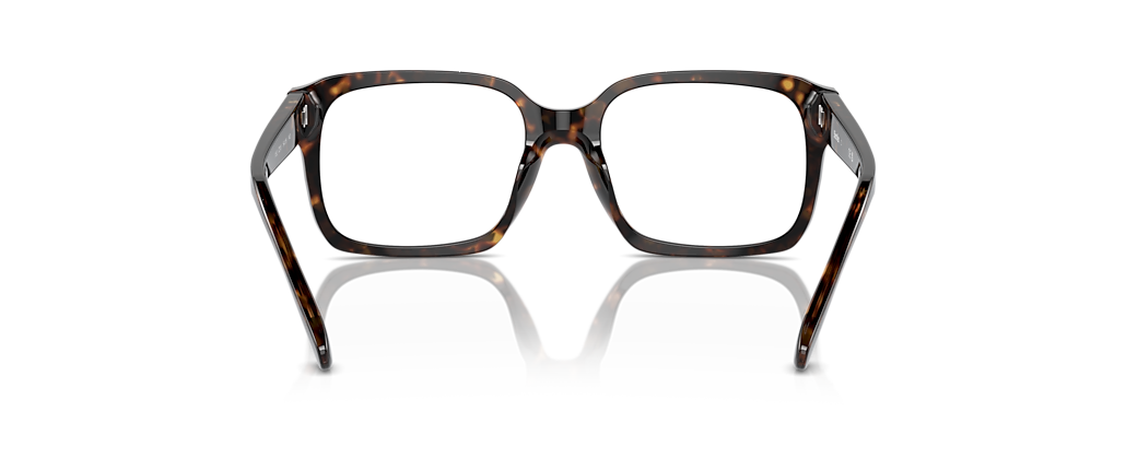 Sferoflex SF1152 Shiny Havana Frames