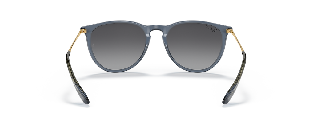Ray-Ban RB4171 Erika Classic Transparent Blue Sunglasses Ray-Ban RB4171 Erika Classic Transparent Blue Sunglasses